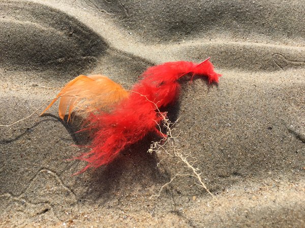 Malo - Mer - Photographie de Christine Gauche