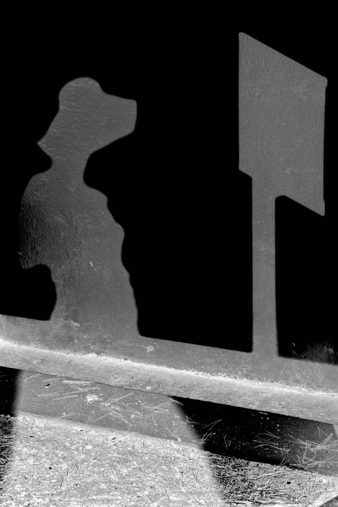 Ombres - Photographie de Christine Gauche